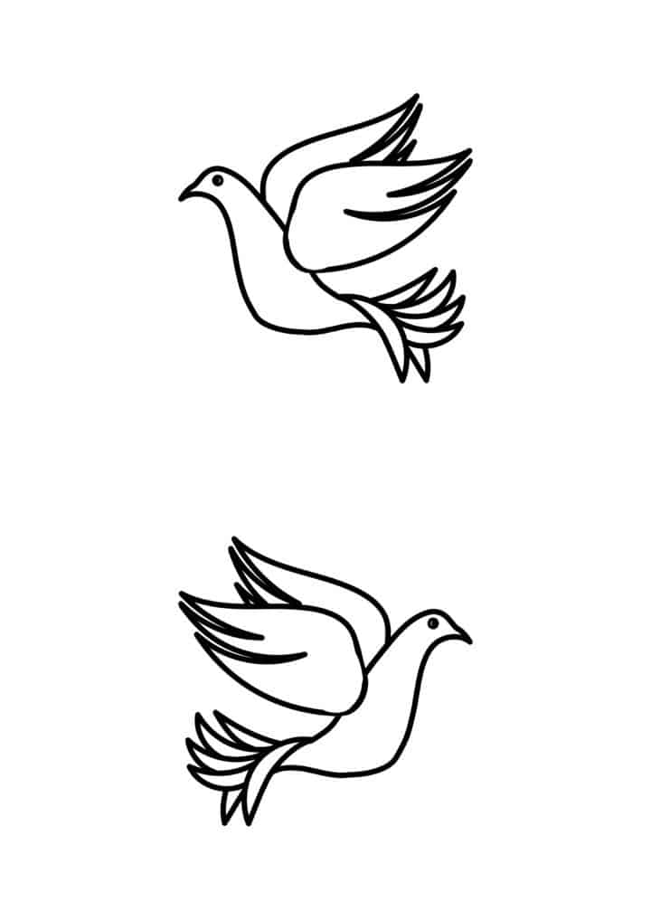 Side profile of a dove template. 