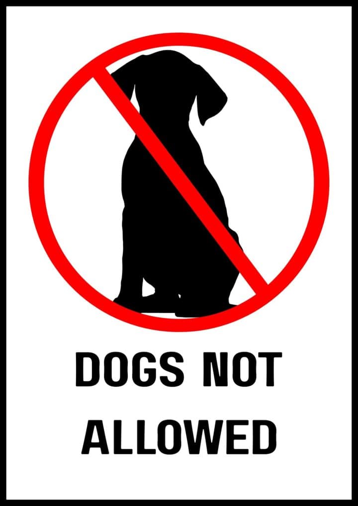 Printable No Dogs Allowed Sign (Free Designs) | The Pink Craft Box