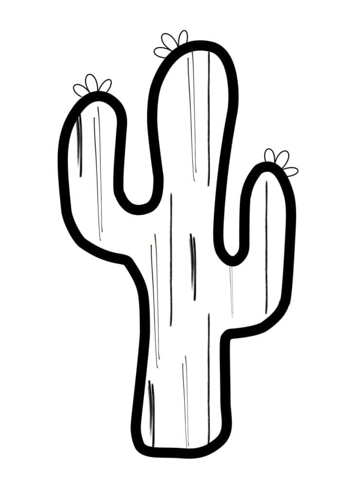 A cactus template in black outline.