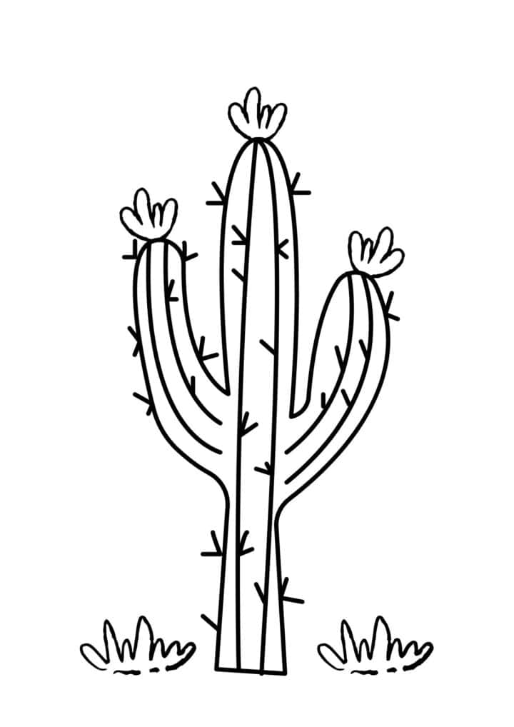A cactus plant with thorns and flowers in black and white.