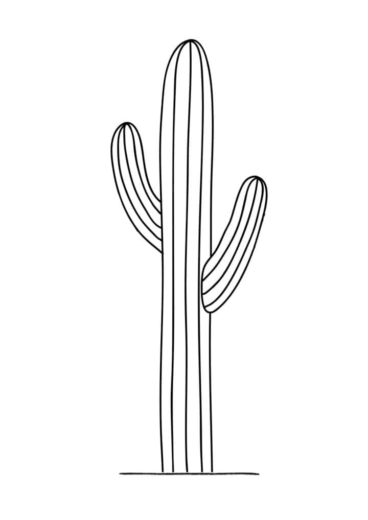 A single cactus plant.