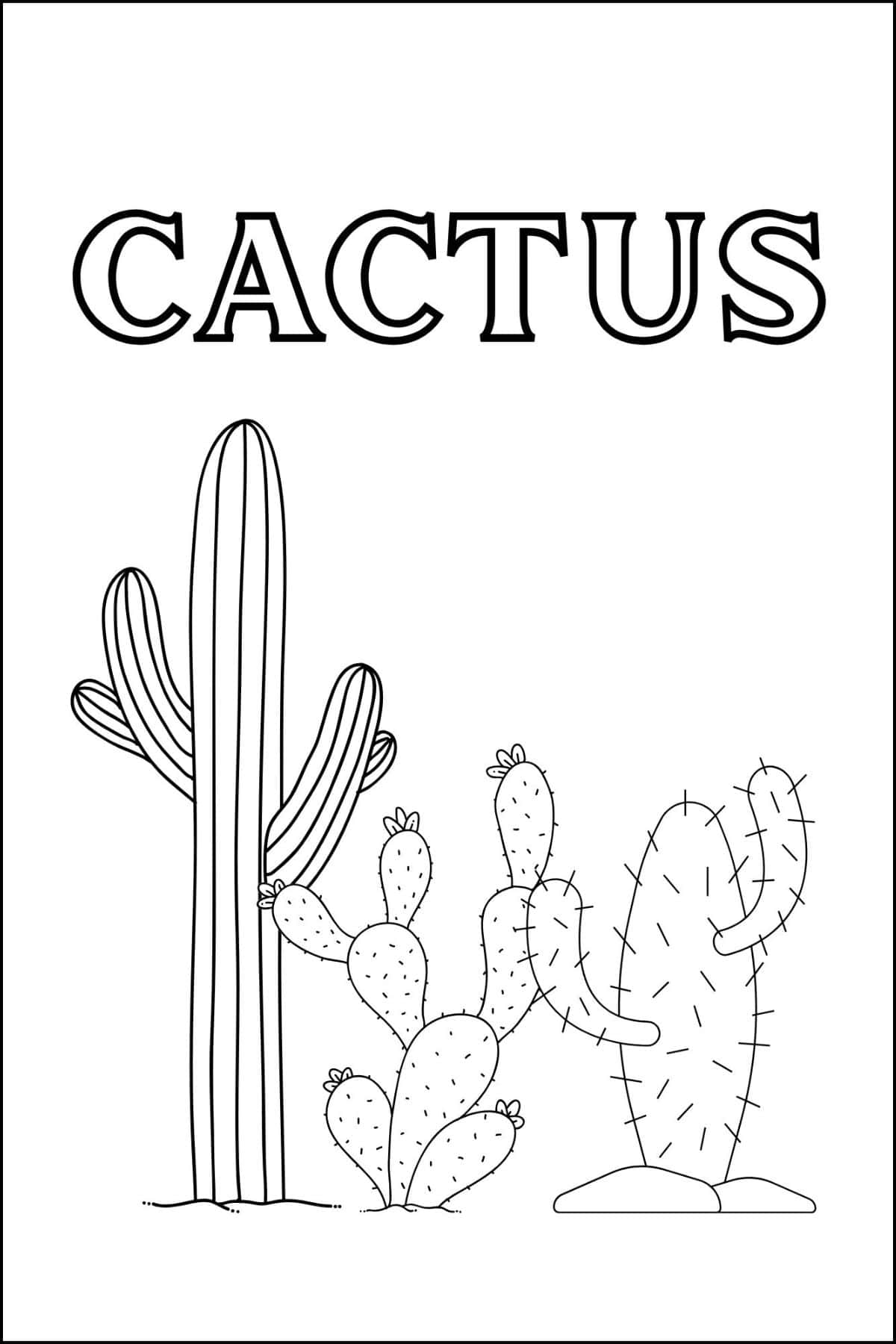 Three cactus plants with the word cactus on top.