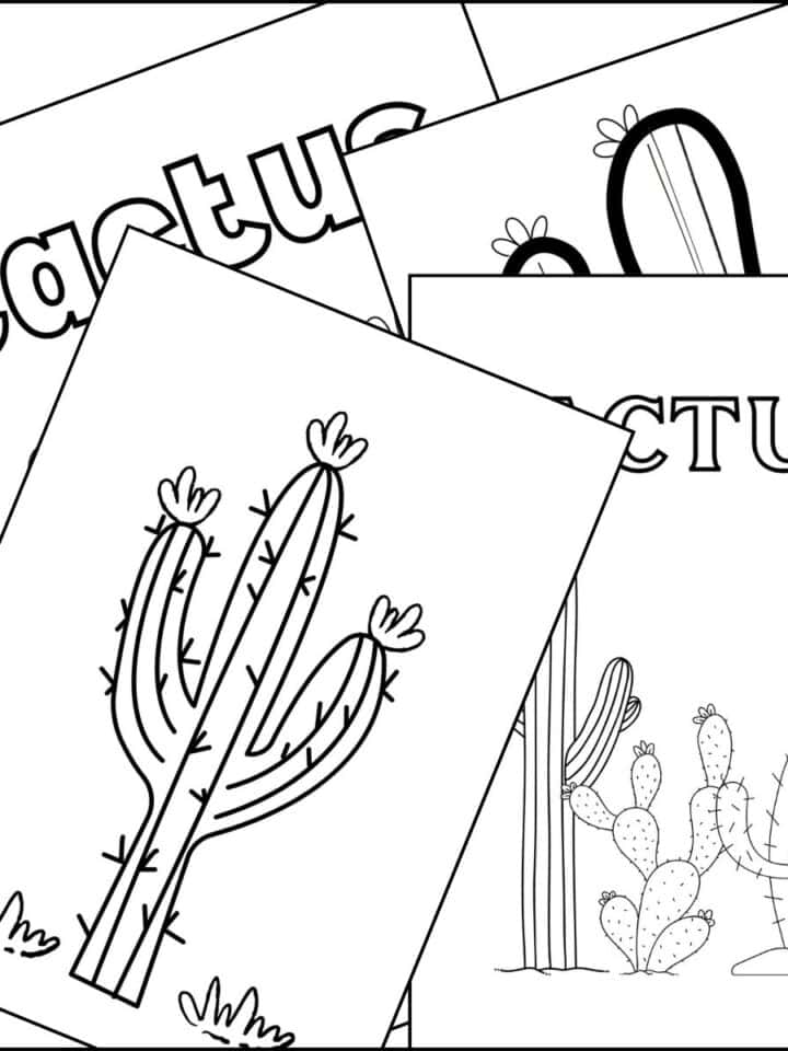 Four posters with cactus designs.