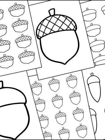 A stack of printable acorn templates overlapping one another.